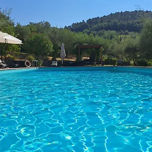 Agriturismo Poggio All'olmo , Greve in Chianti Italia